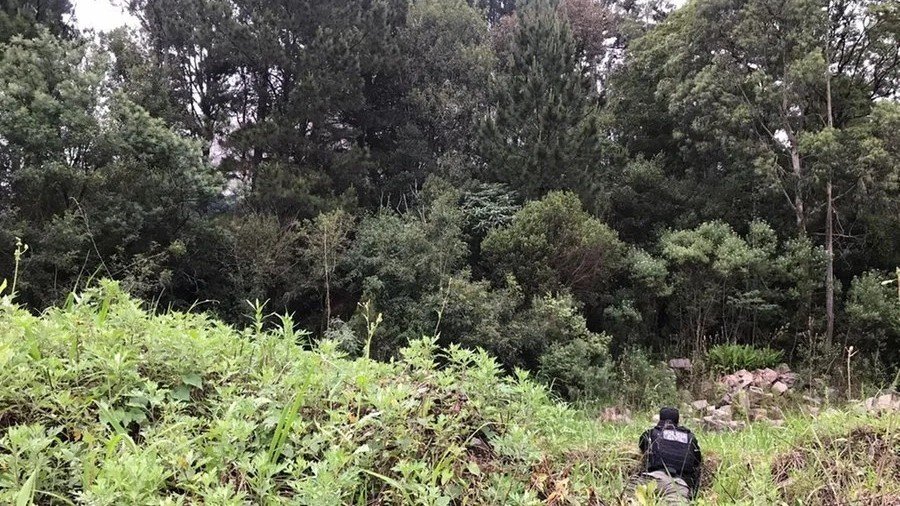 Policiais civis buscam reconhecimento de inspetor envolvido em confronto com assaltantes em Gramado