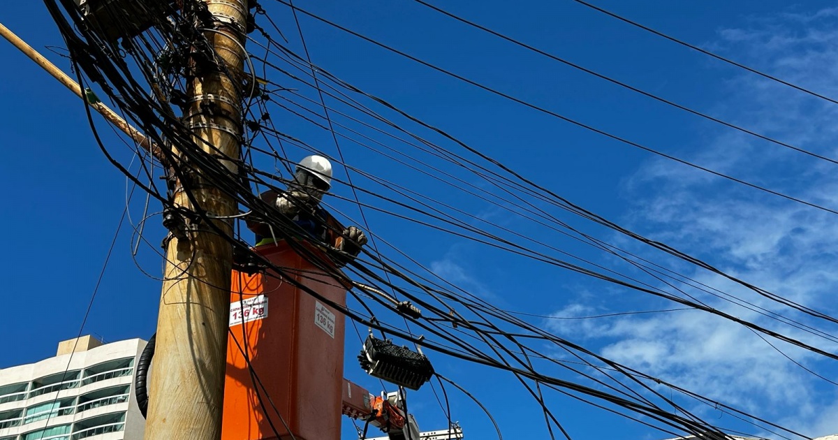 Operação Gatonet acontece em 21 cidades nesta semana; confira a lista