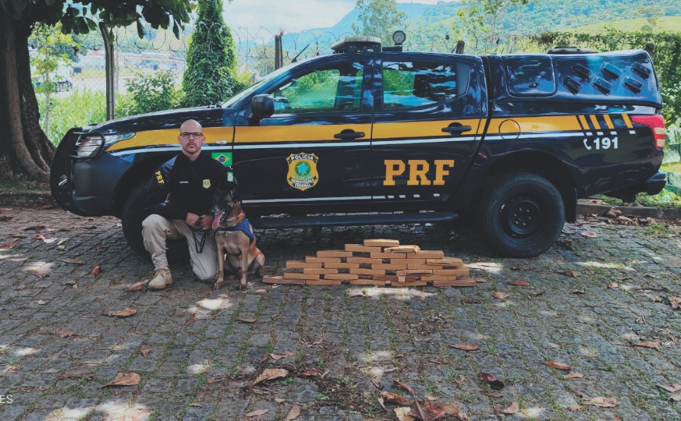 ES registra apreensão de quase 10 toneladas de drogas em um ano