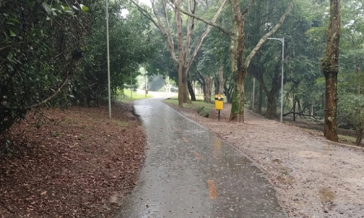 É Santo André. Agora é sua vez. De ganhar uma semana. Escrita por filhos seus. Gente que te ama. E ama até a sua chuva.