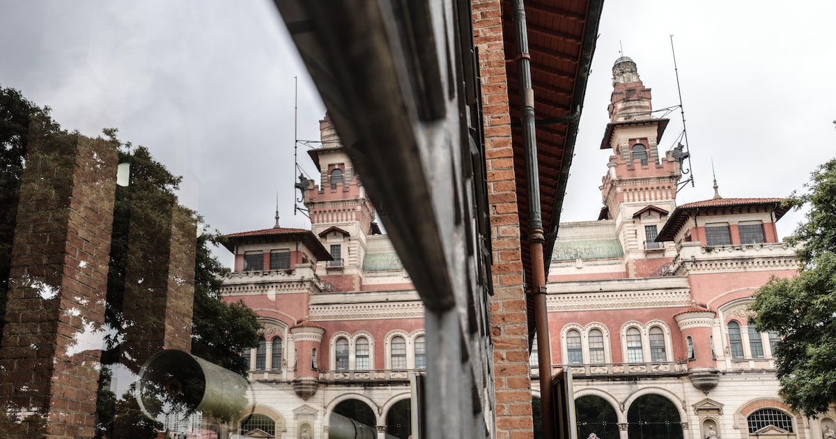 Dia Mundial da Arte: Veja museus com entrada gratuita para visitar em São Paulo