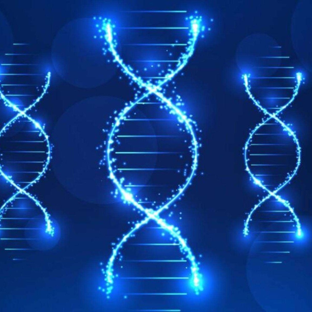 Genética e autismo: o detalhe crucial que muitas famílias não recebem