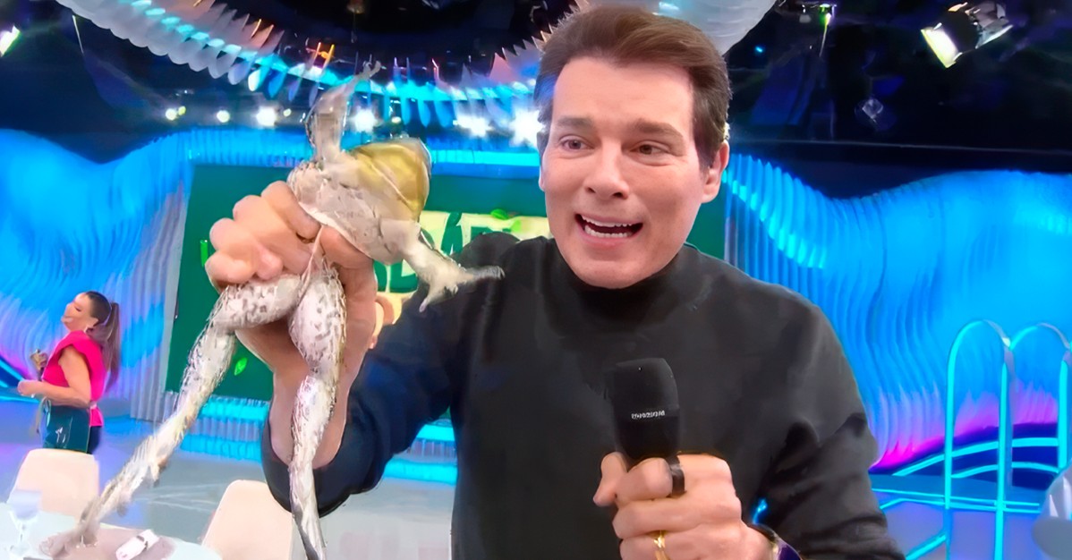 Juíza fixa regras ao SBT para uso de animais após caso de rã