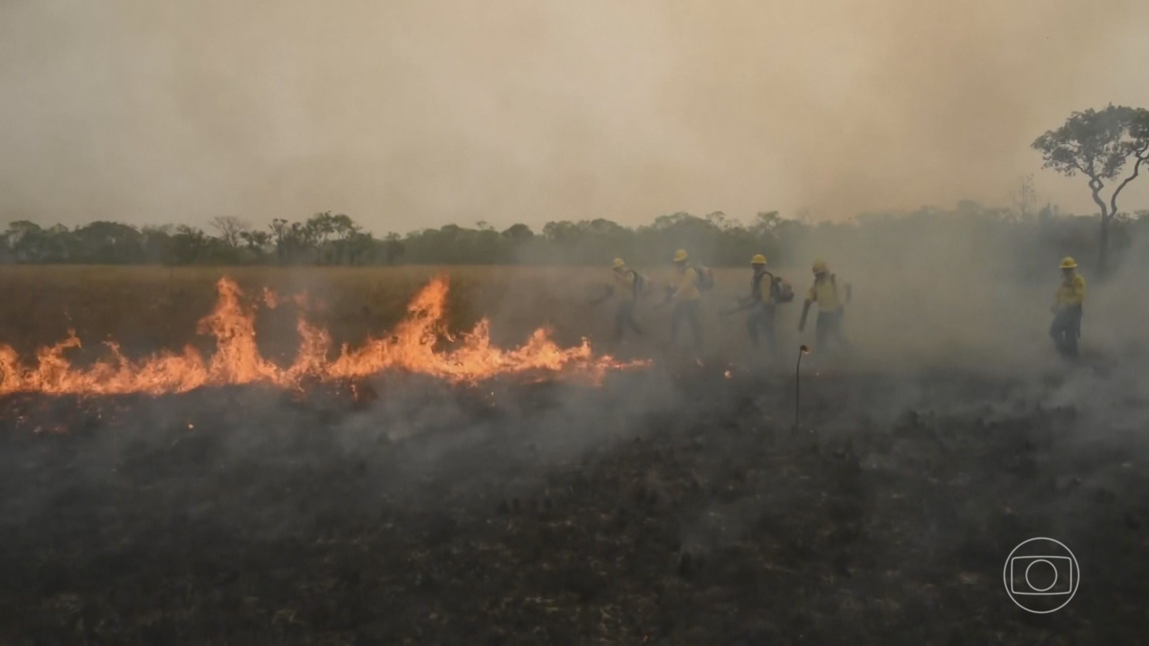 Ártico não está preparado para monitorar avanço de mosquitos
