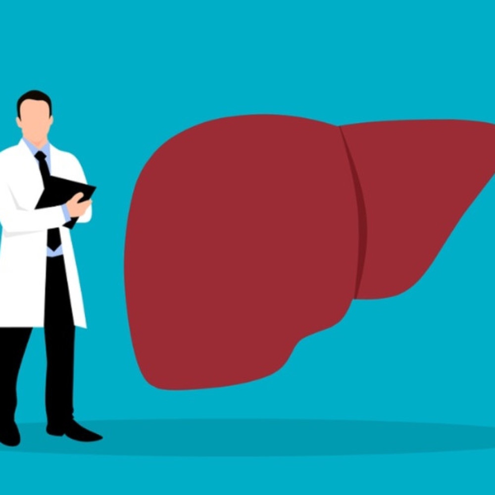 Fígado: a importância da conscientização sobre o órgão