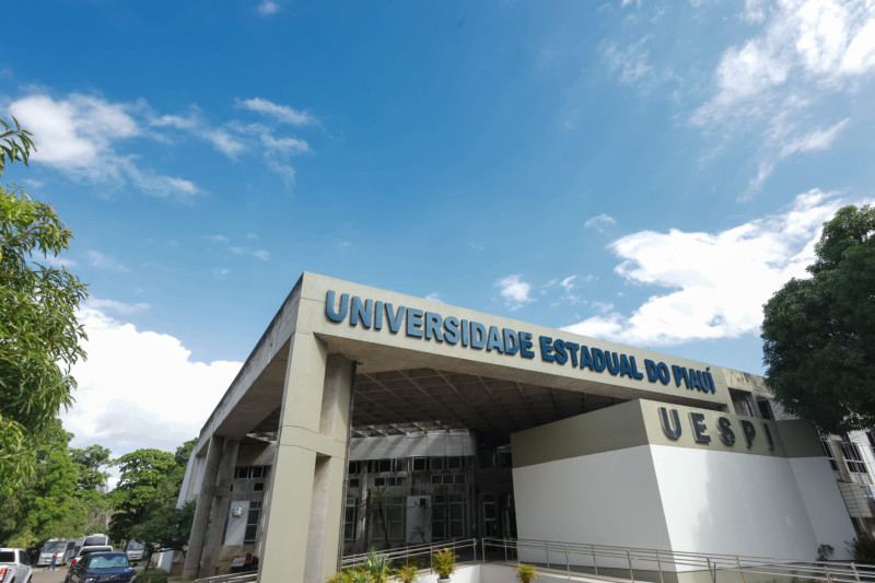 UESPI lança edital com oferta de 233 bolsas PIBIC/PIBITI; veja como se inscrever