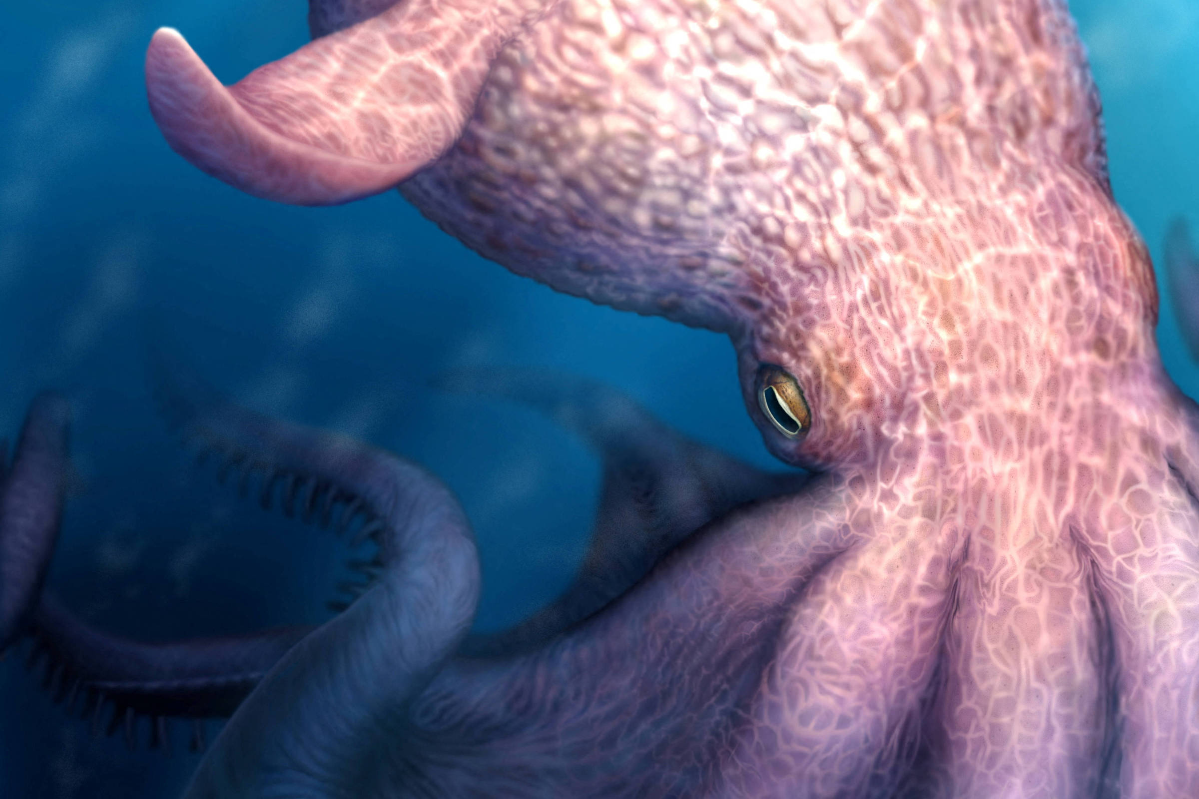Monstro marinho, polvo da Era dos Dinossauros atingia 19 m