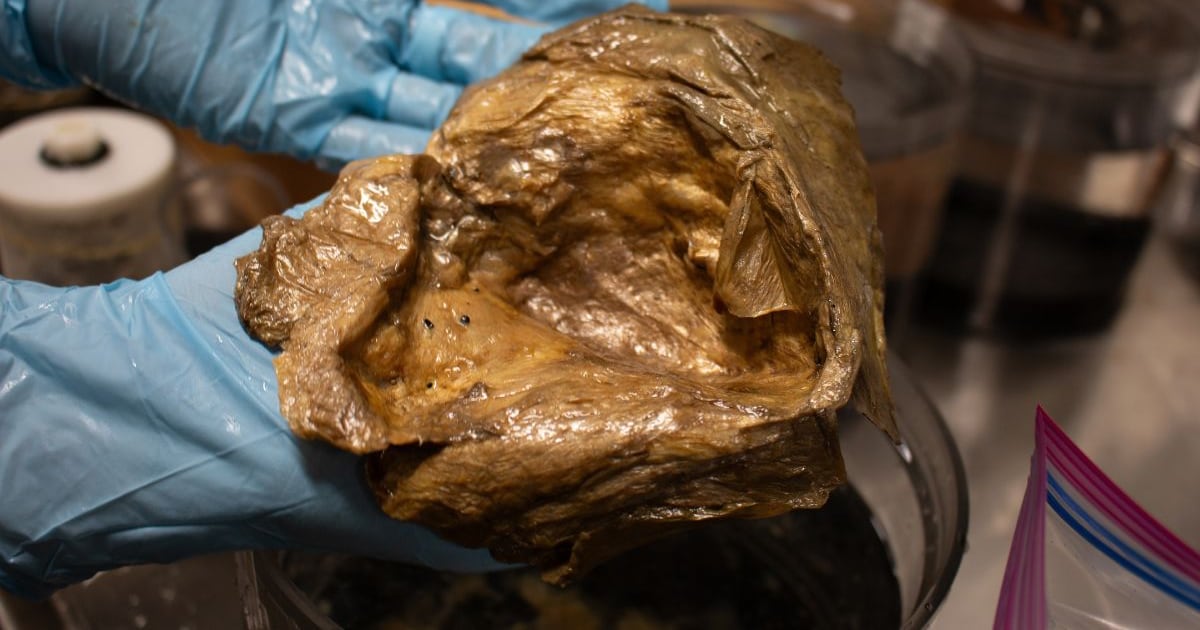 Cientistas em laboratório estudam uma esfera misteriosa encontrada no fundo do mar.