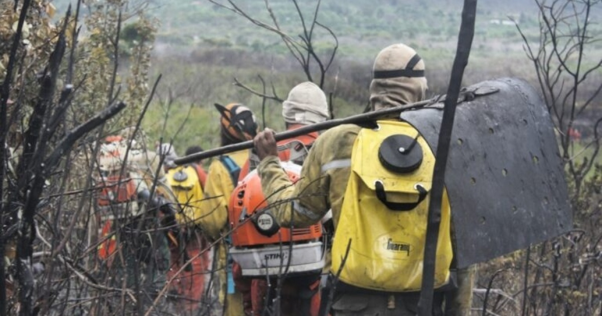 Deputado sugere reconhecimento, regulamentação e cadastro das Brigadas Voluntárias na Bahia