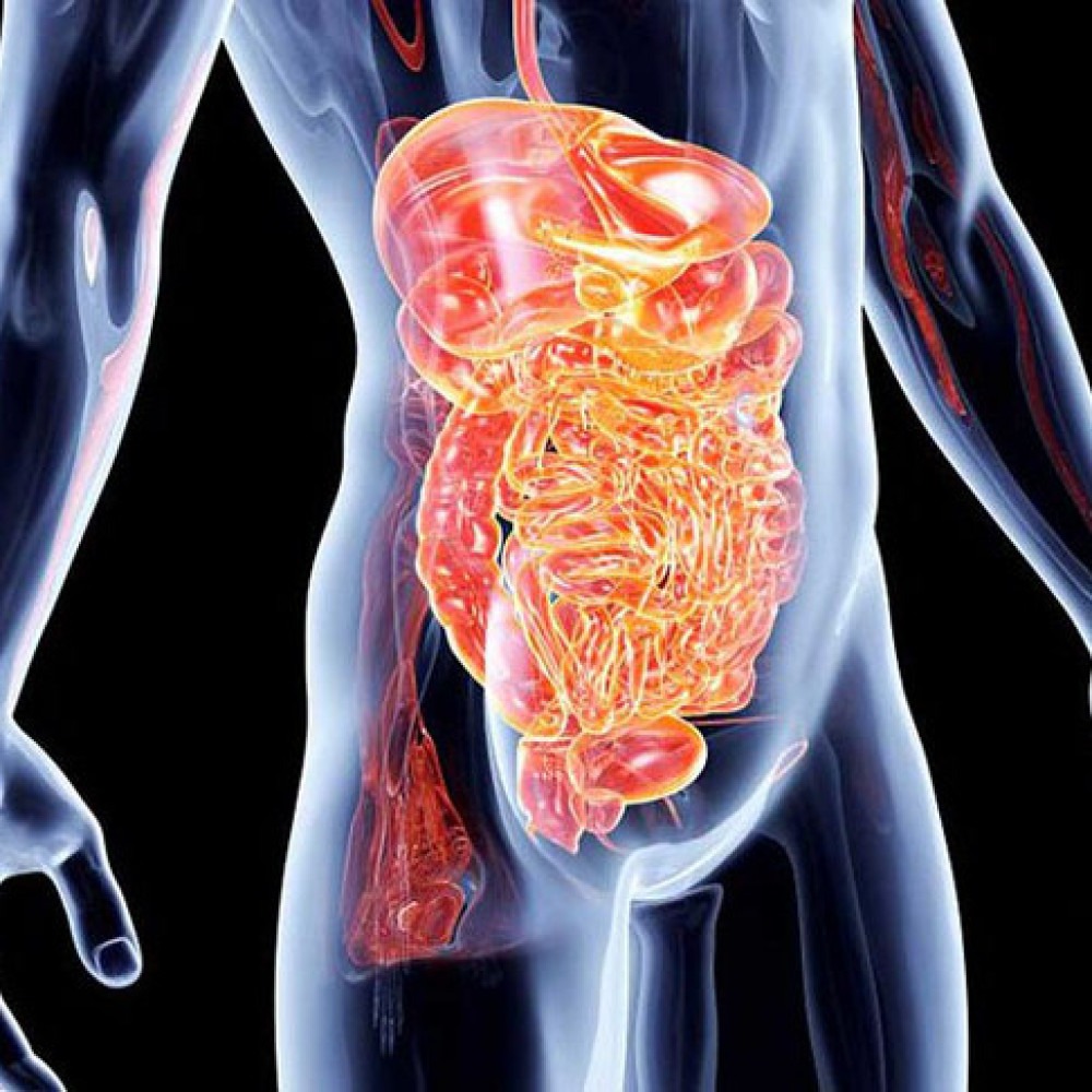 Doença de Crohn ou retocolite? O detalhe que muda o diagnóstico