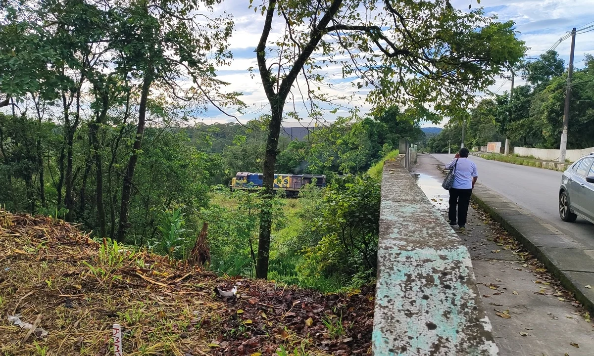 Capítulo 3 Freguesia elevada a Município. Primeiros vereadores. Nasce um núcleo em Rio Grande. Rio Grande perde... Ribeirão Pires ganha.
