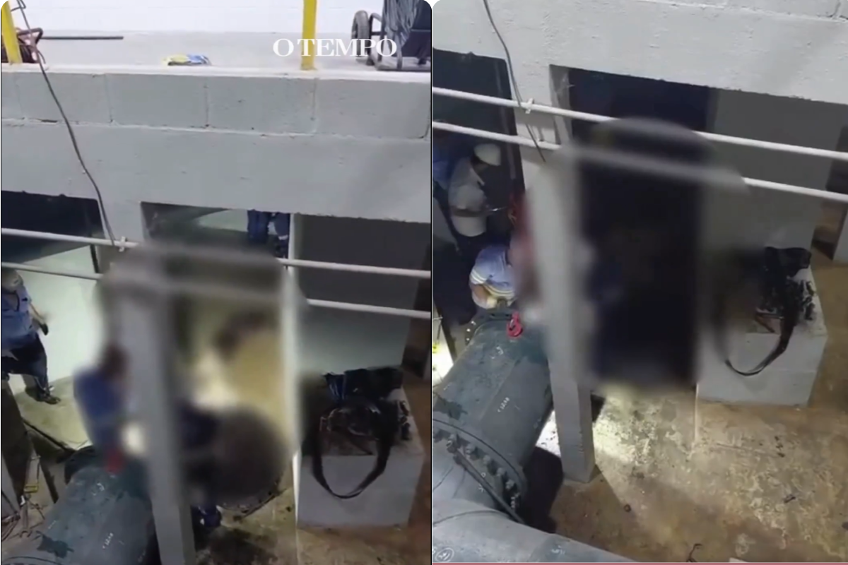 Água em BH pode voltar nesta quinta após égua cair em adutora