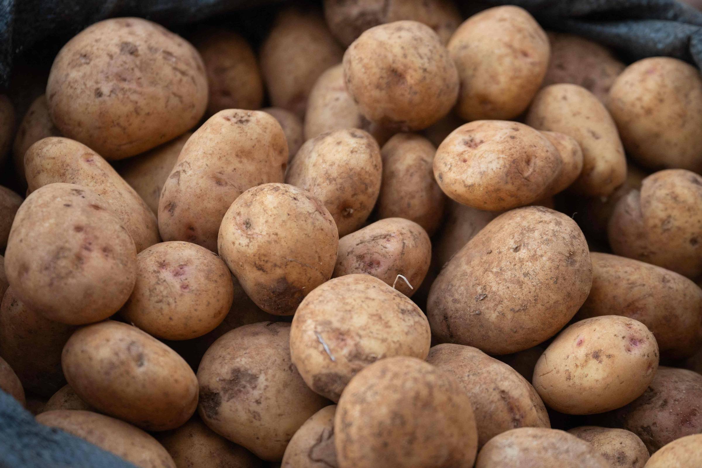 Estudo associa alteração genética em povos andinos ao consumo de batata
