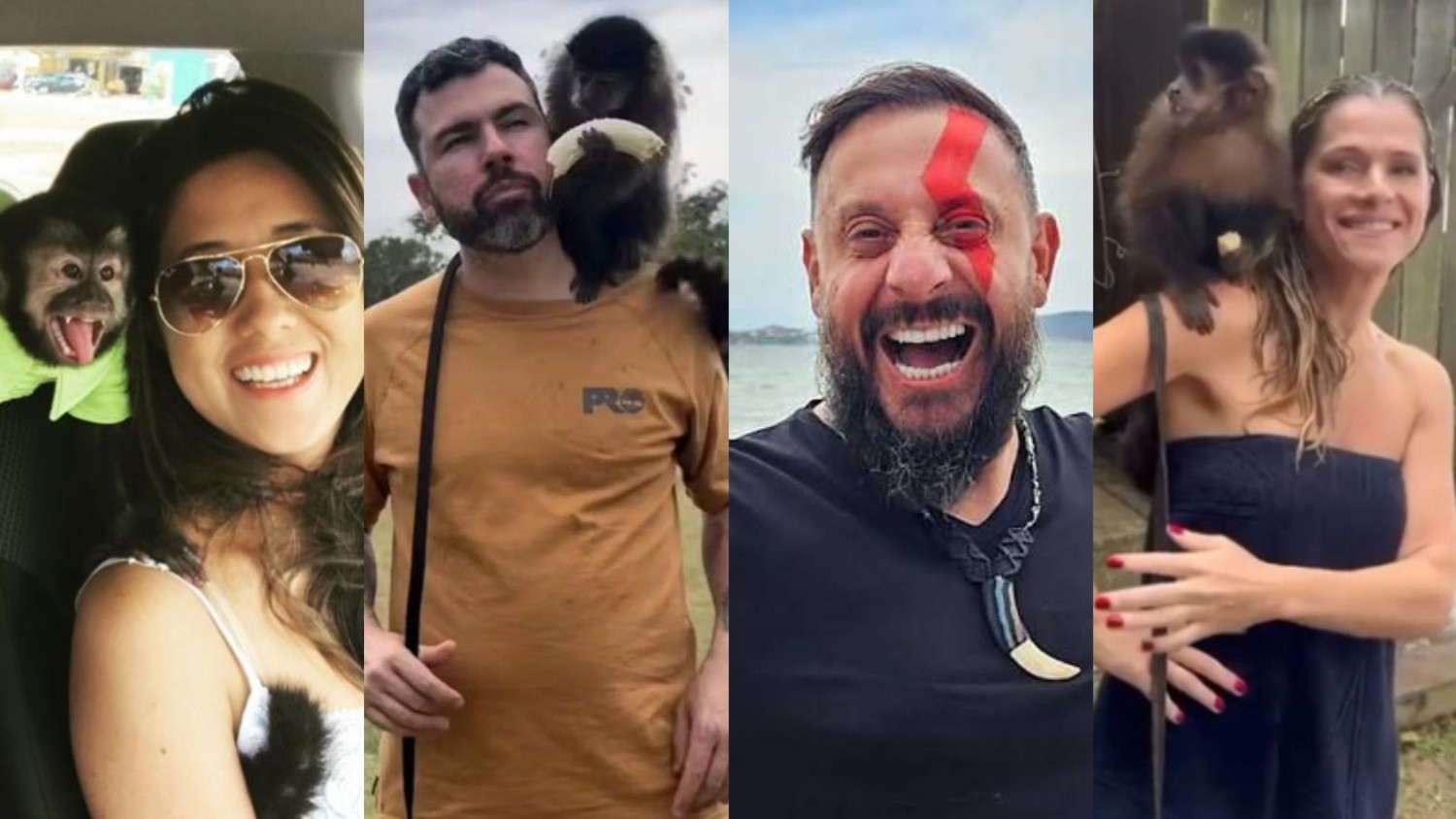 Entenda a polêmica sobre macaco que participou de filme estrelado por Ingrid Guimarães