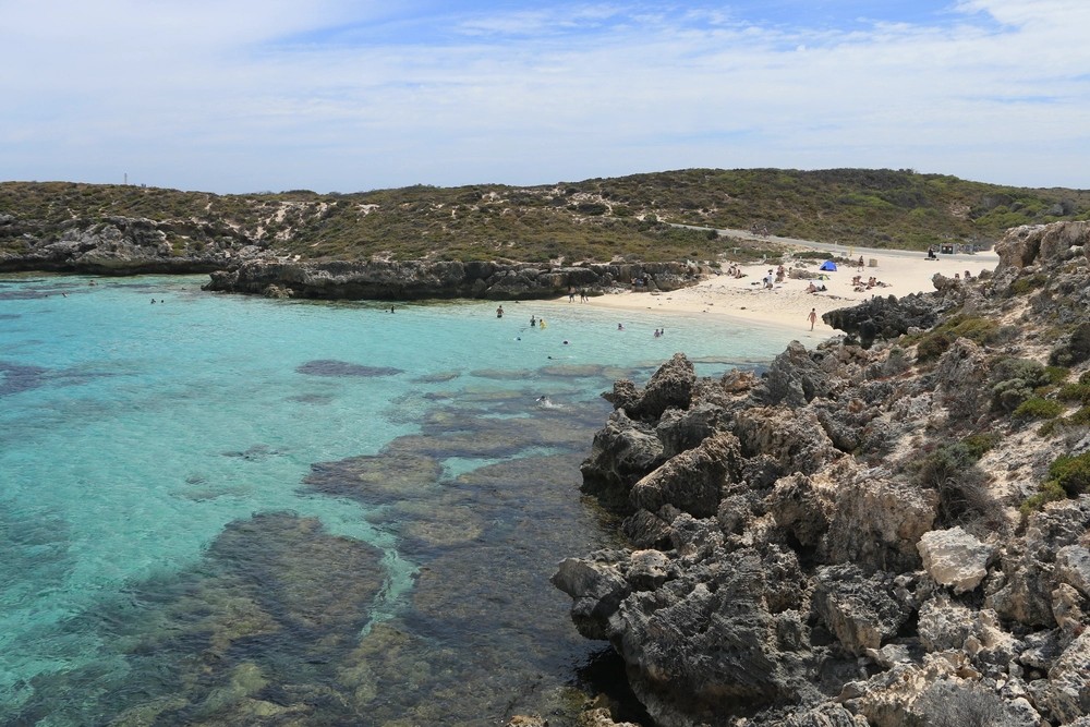 Mergulhador de 38 anos morre após ataque de tubarão em ilha turística na Austrália