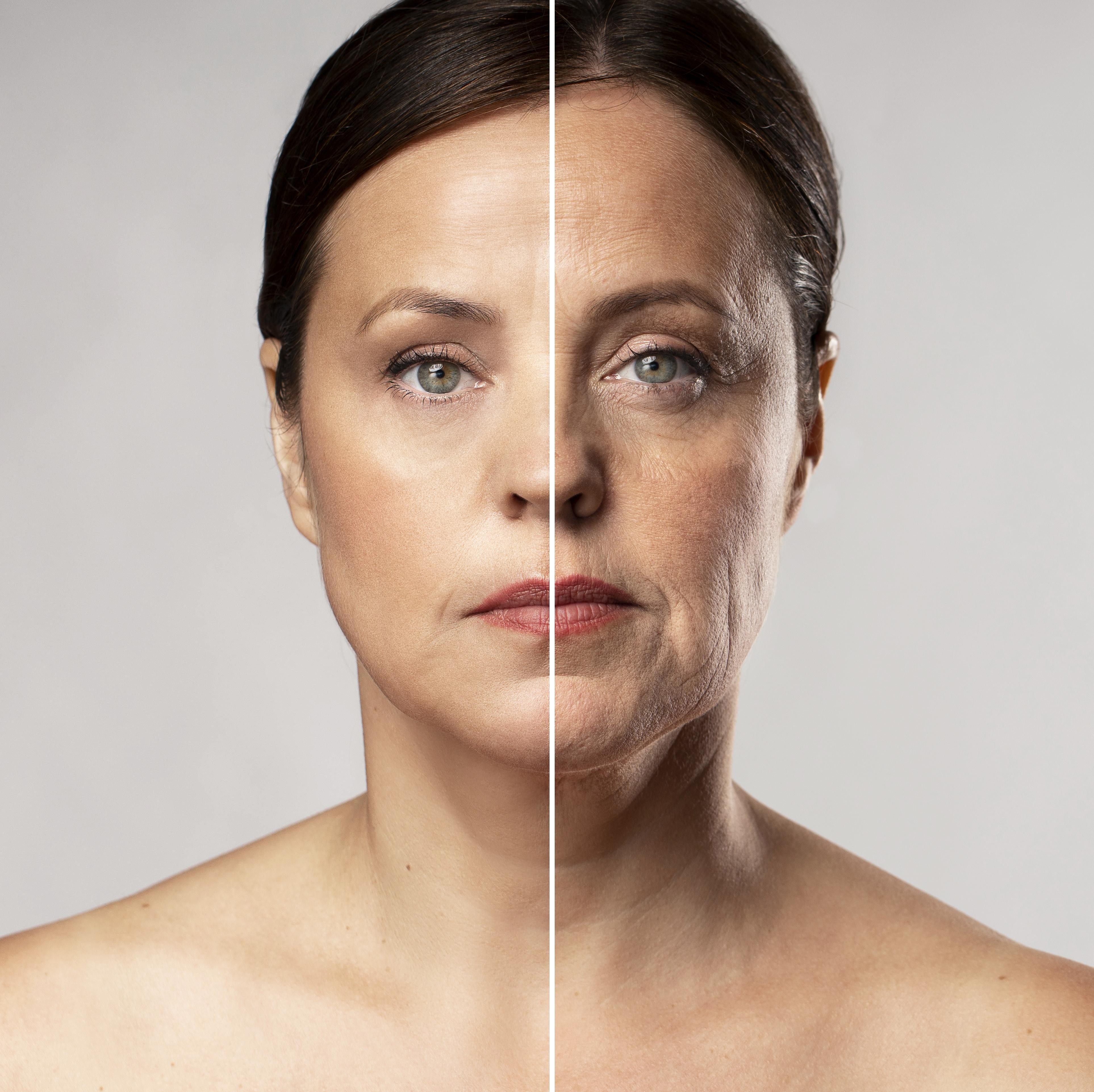 Fonte da juventude? Cientistas identificam proteína no cérebro que pode agir como ‘chave’ do rejuvenescimento; entenda