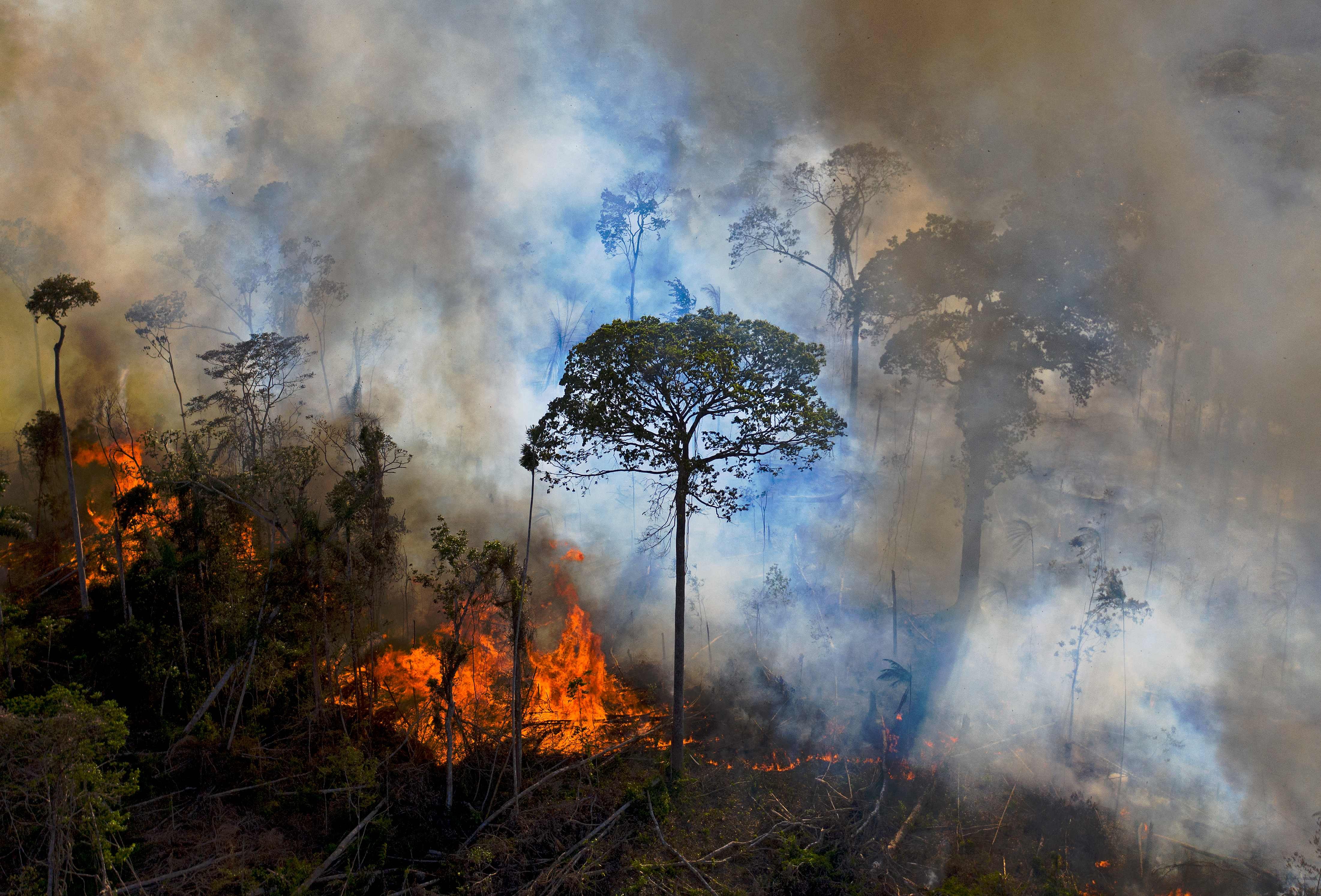 Autoridades correm para se antecipar ao super El Niño, que pode trazer temporais e ondas de calor ao Brasil