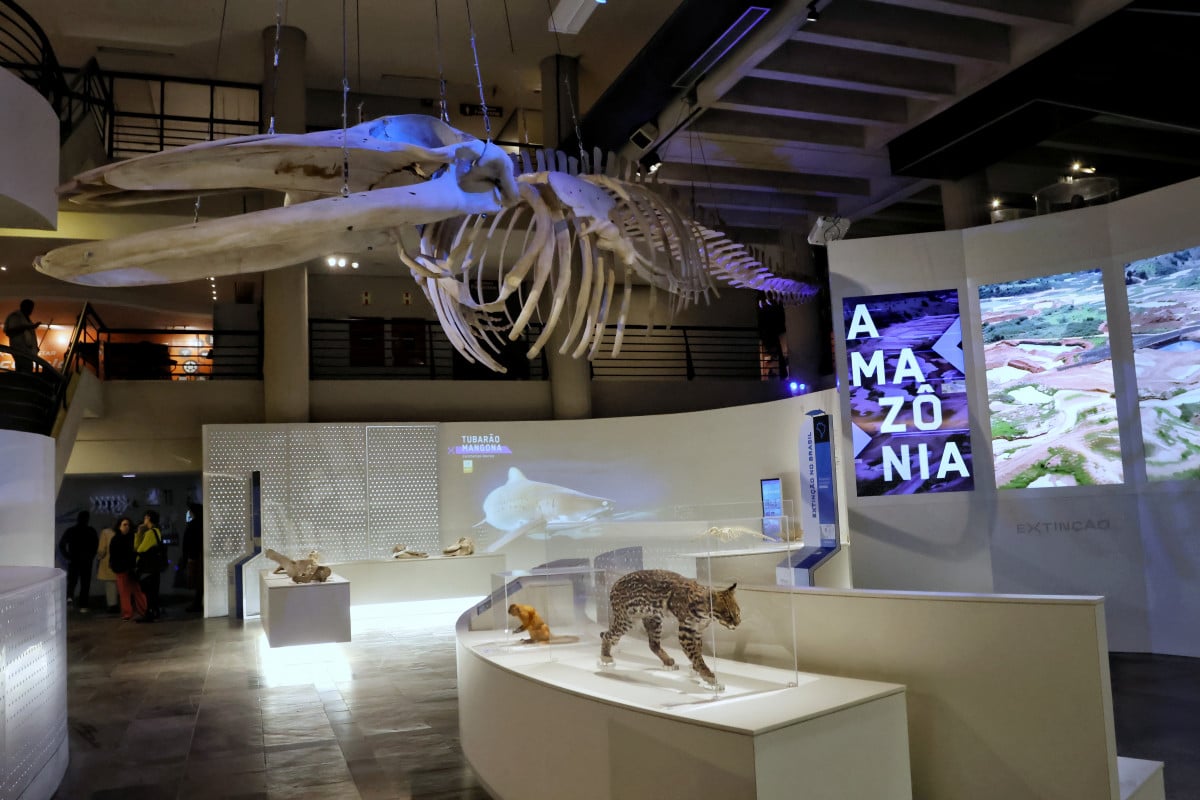 Exposição no Museu da Pucrs traz extinção como questão atual