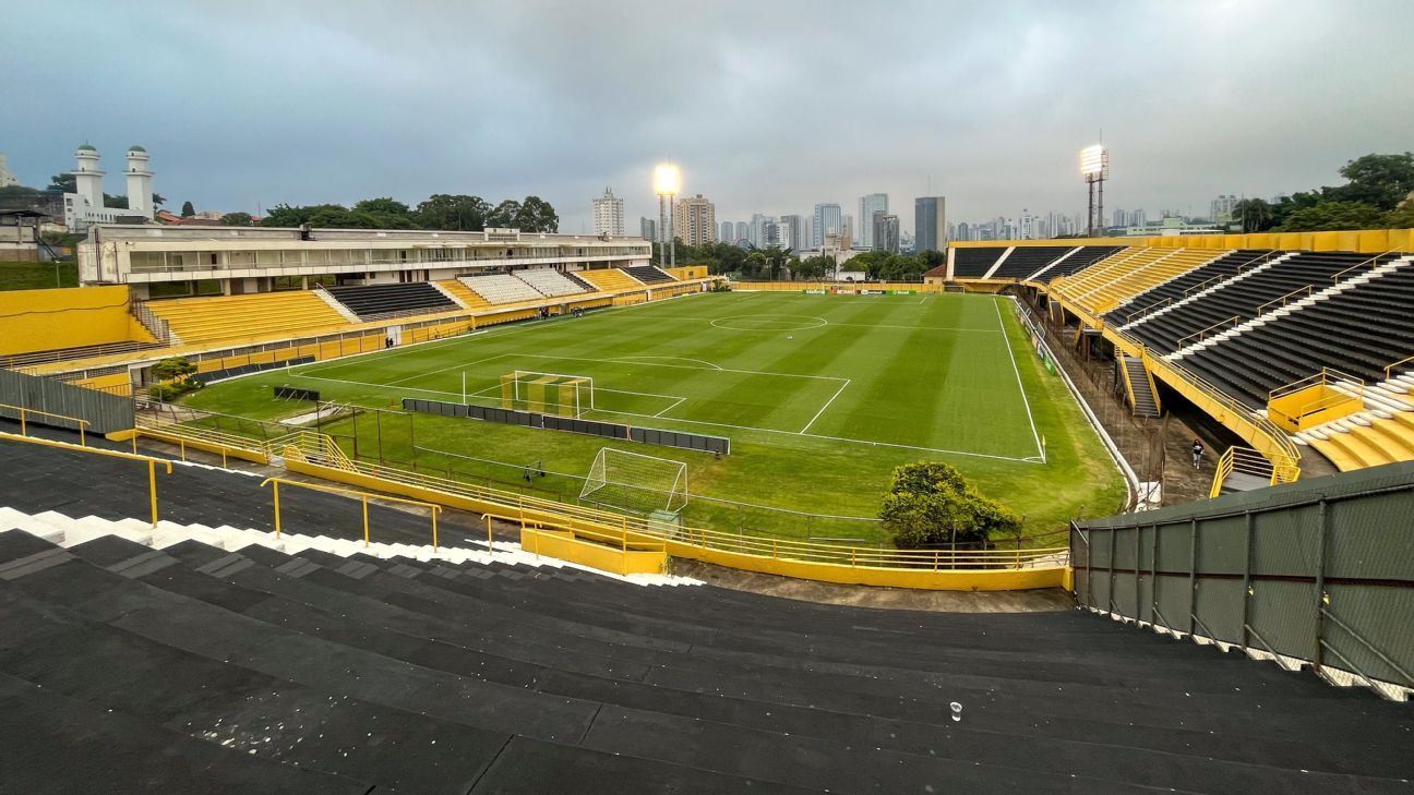 São Bernardo x Novorizontino: onde assistir ao vivo, horário, palpite e prováveis escalações do jogo da Série B