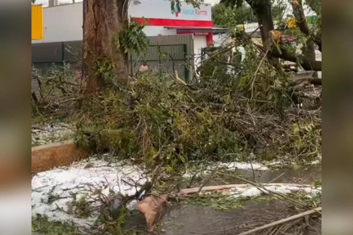 Chuva de granizo provoca alagamentos e deixa estragos em Boa Esperança (MG)