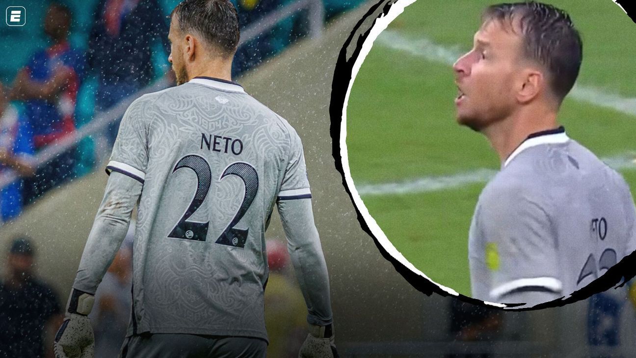 Súmula de Bahia x Botafogo tem forte xingamento de Neto antes de expulsão: 'Filha da p***, vai tomar...'