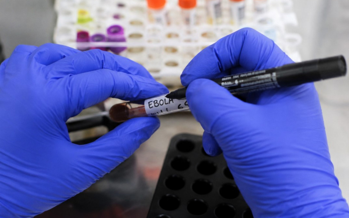 Especialistas avaliam se existe possibilidade de pandemia de ebola
