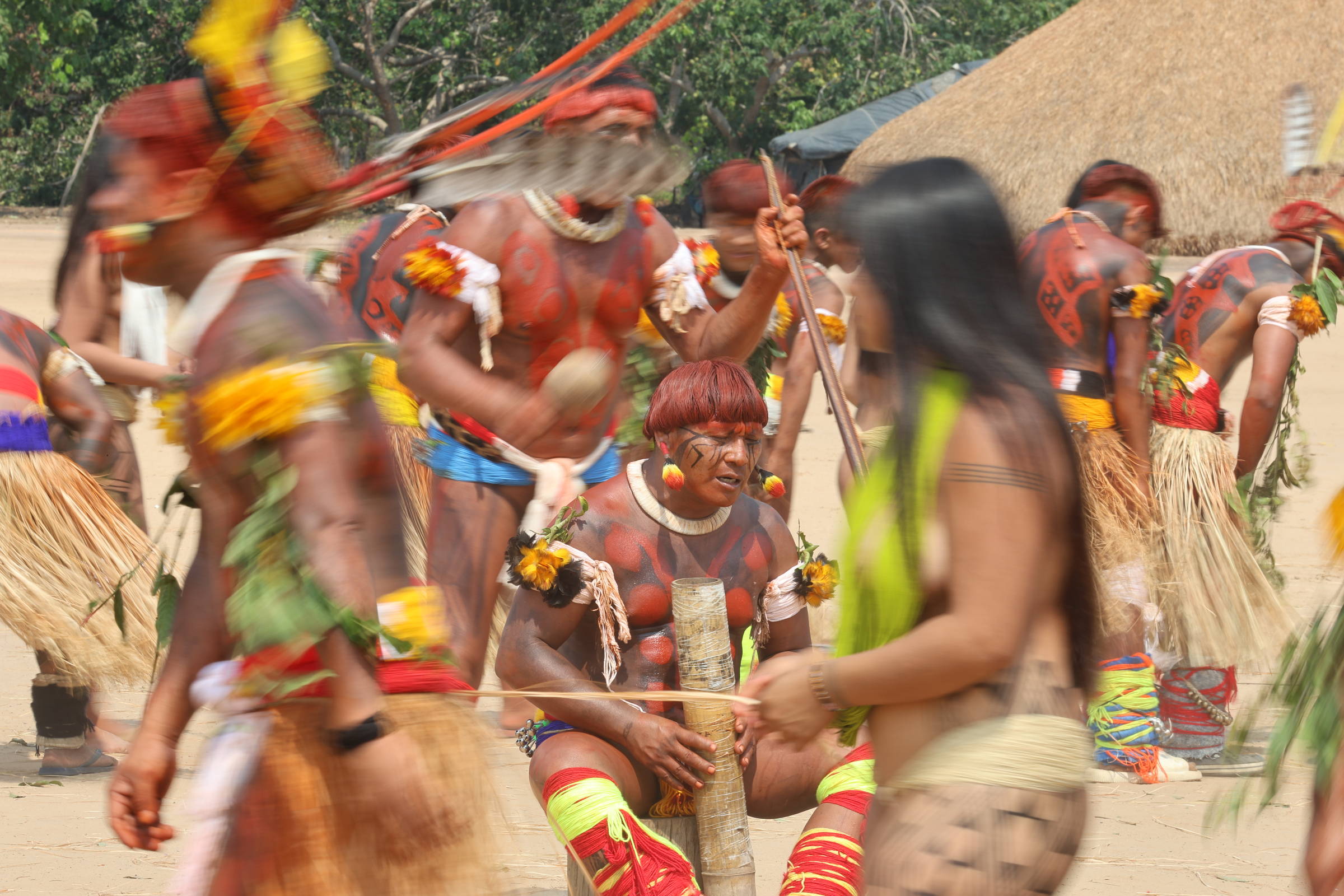 Diversidade de línguas é mais alta onde há menos variação no DNA