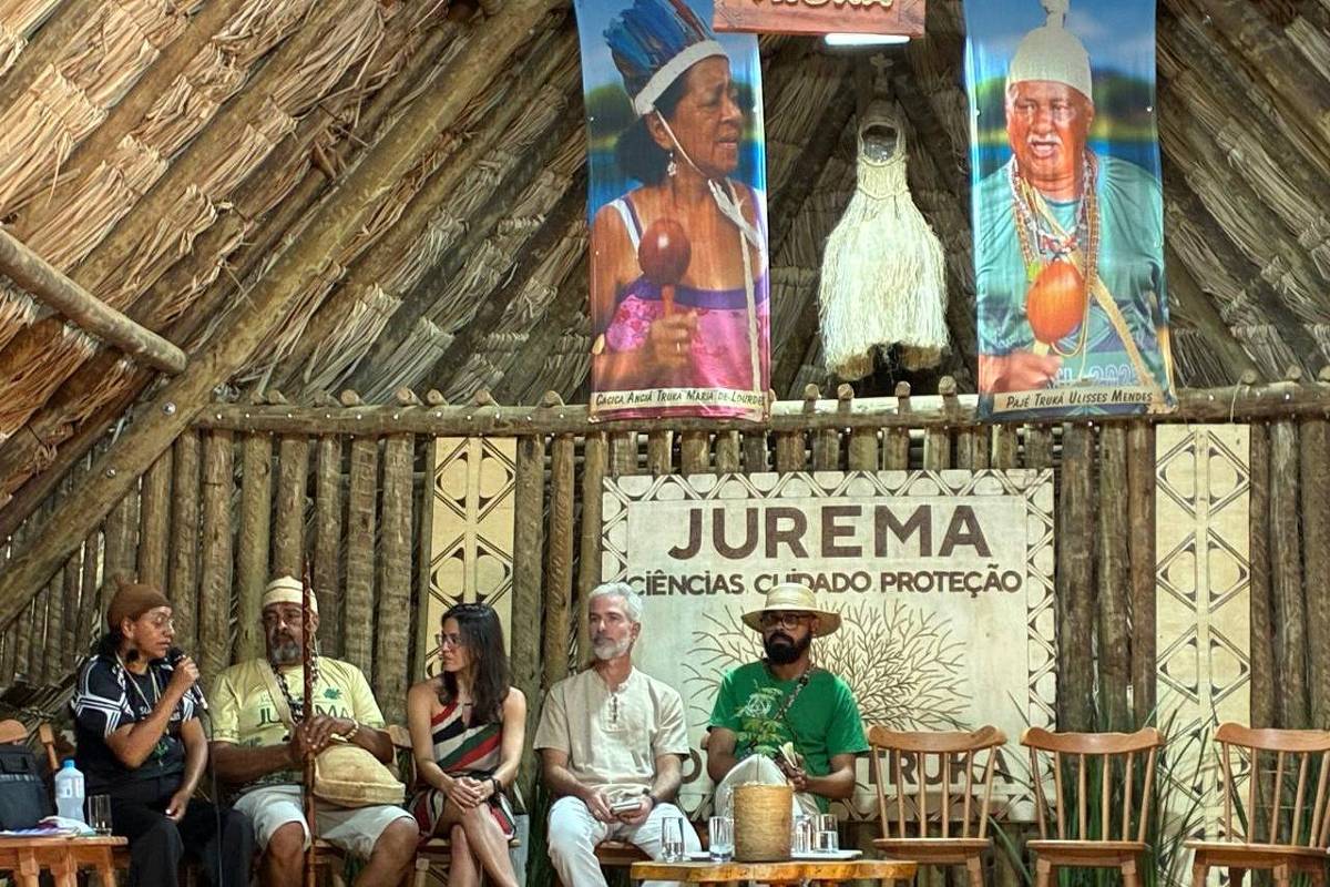 Indígenas e cientistas psicodélicos avançam com conversa difícil sobre Jurema