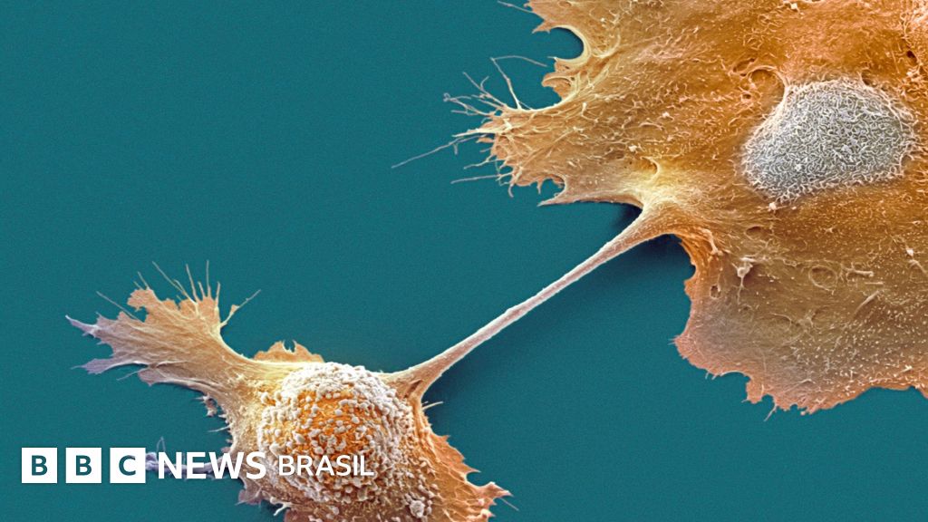 Como age a pílula que dá esperança contra um dos cânceres mais letais que existem