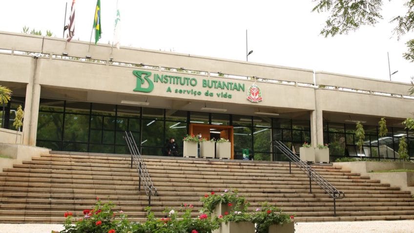 Profissionais de saúde discutem casos adversos de vacina do Butantan em conferência de imprensa.