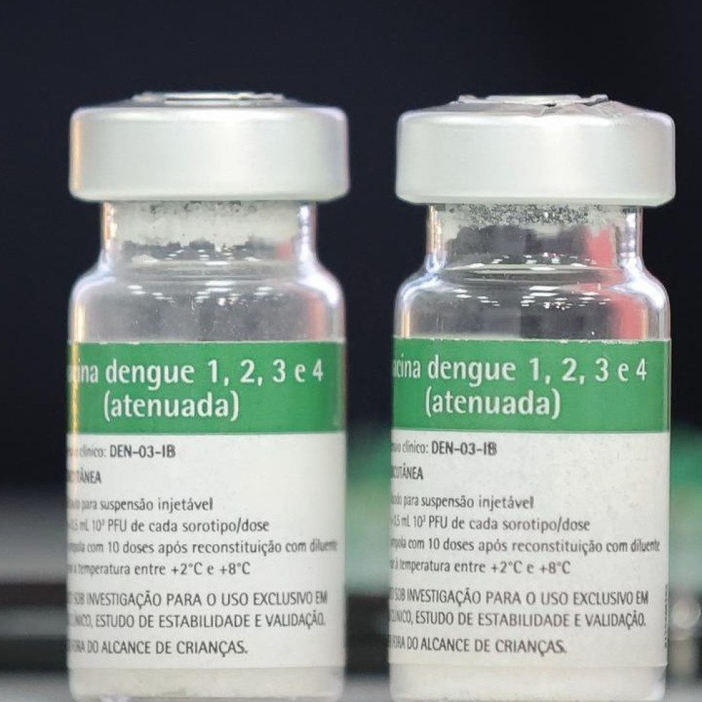 Vacina contra a dengue: 9 perguntas para o infectologista Carlos Starling
