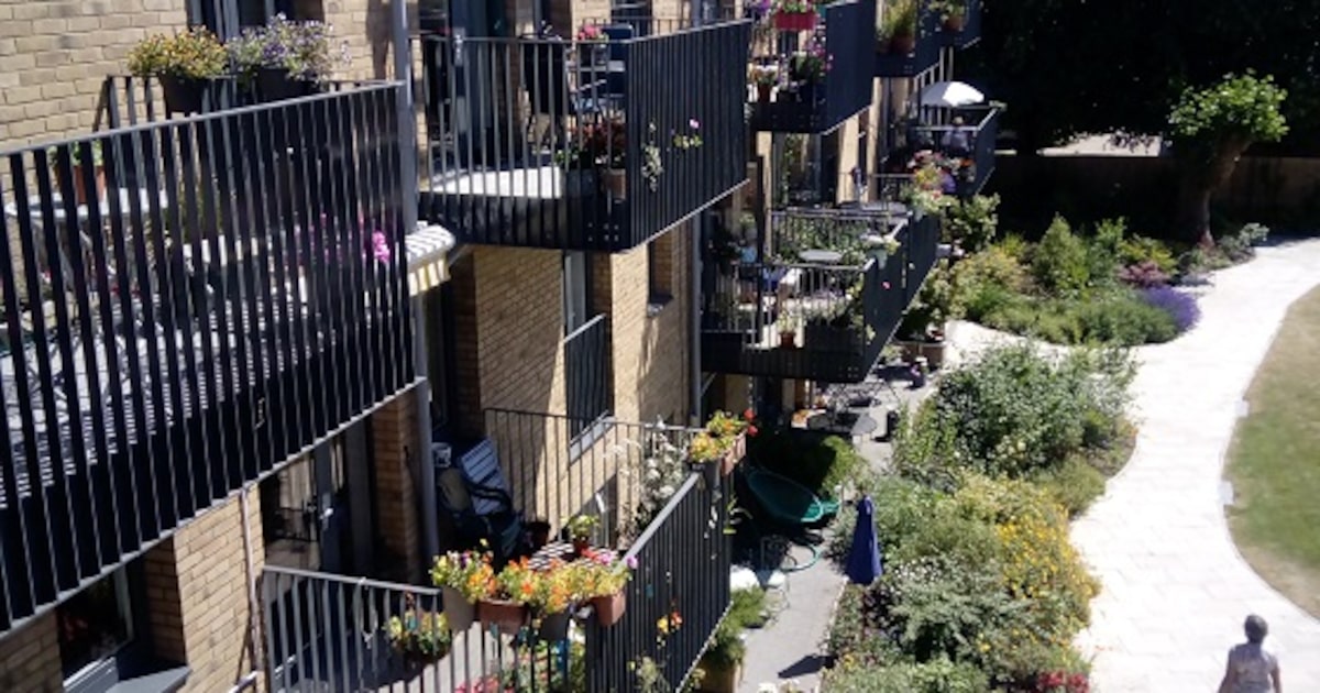 Cada um na sua casa, mas não sozinho: o que é cohousing, modo de viver que cresce entre os 50+; veja
