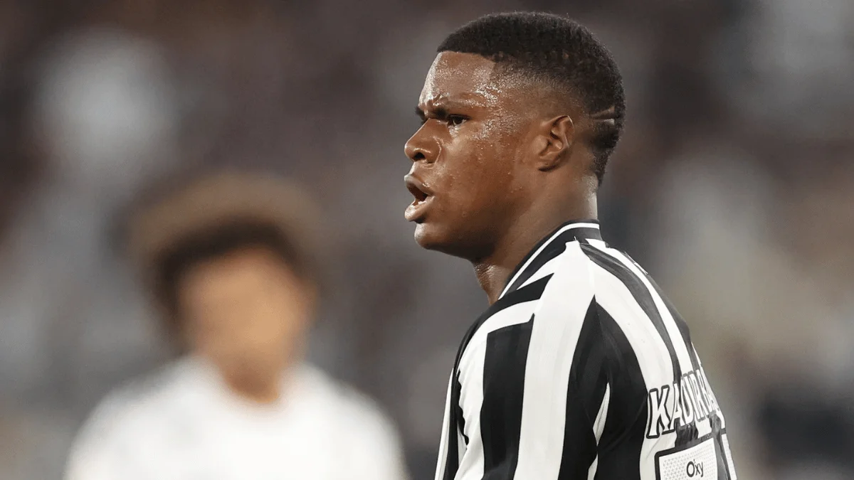 No retorno do Brasileirão, Botafogo marca no fim e derrota o Santos