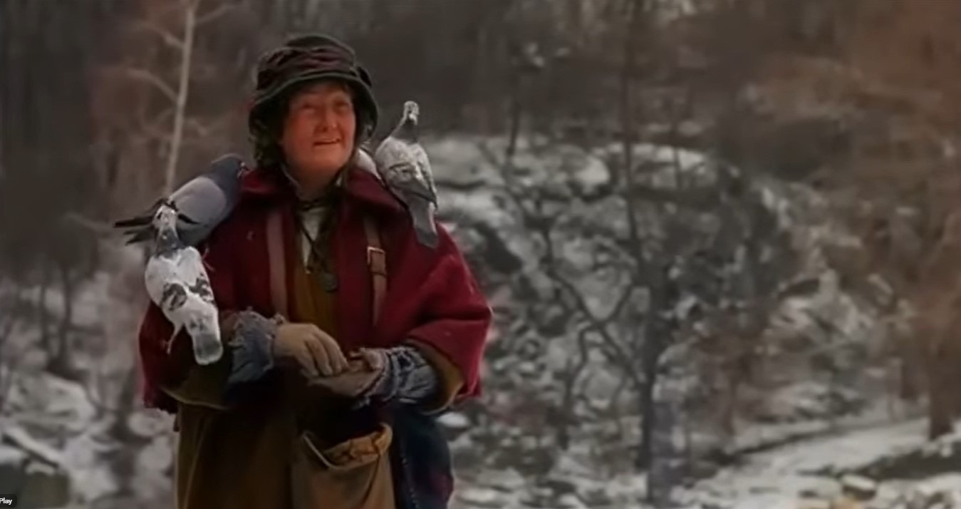 Brenda Fricker, atriz de Esqueceram de Mim 2, morre aos 81 anos