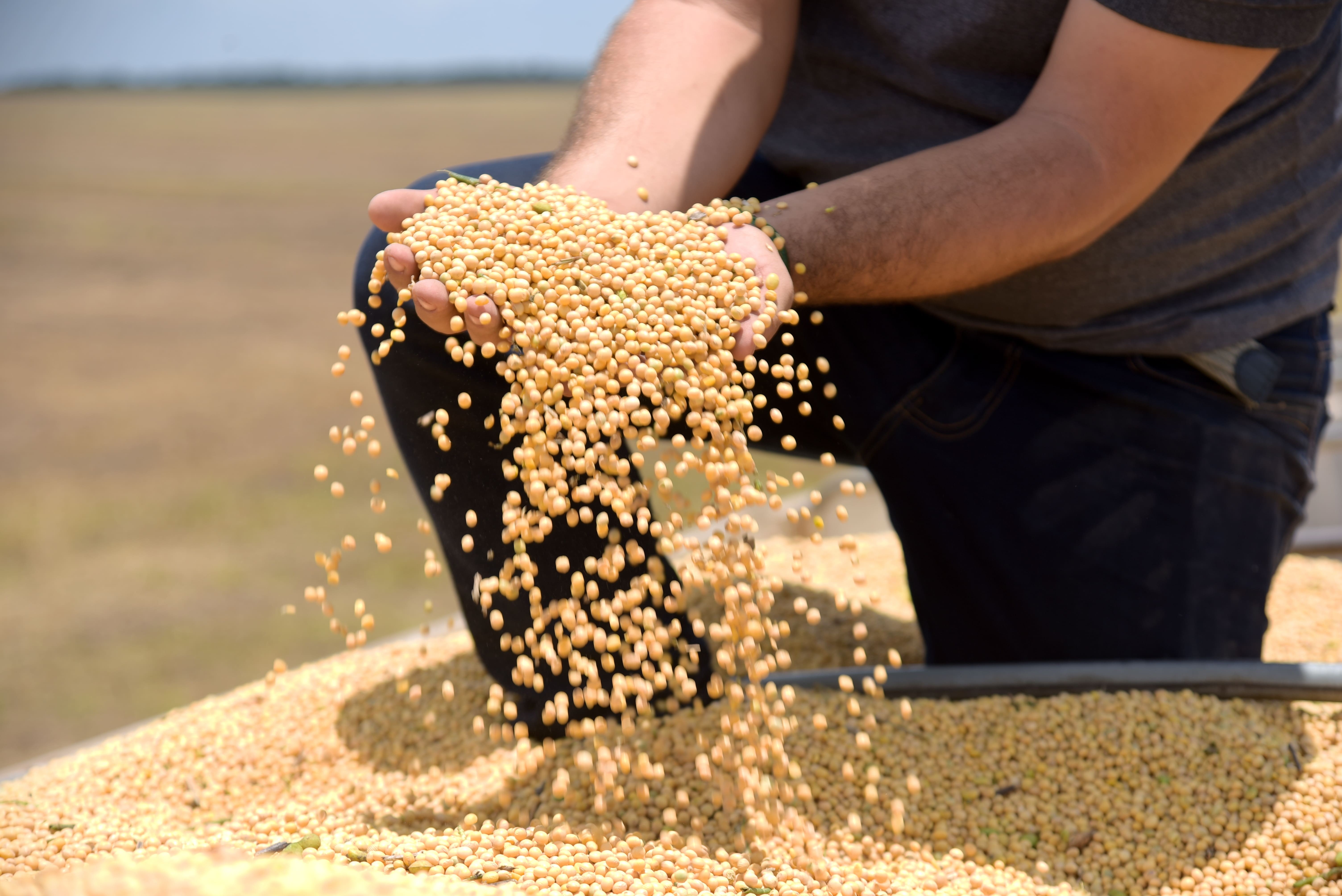 Tarifaço deve atingir 36% das exportações do agro brasileiro, diz CNA