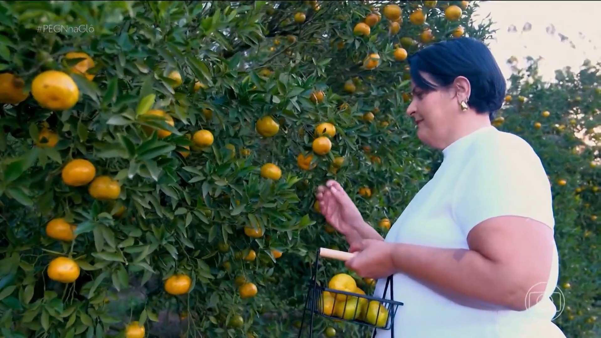 Após falência, casal reinventa empresa com produtos de mexerica