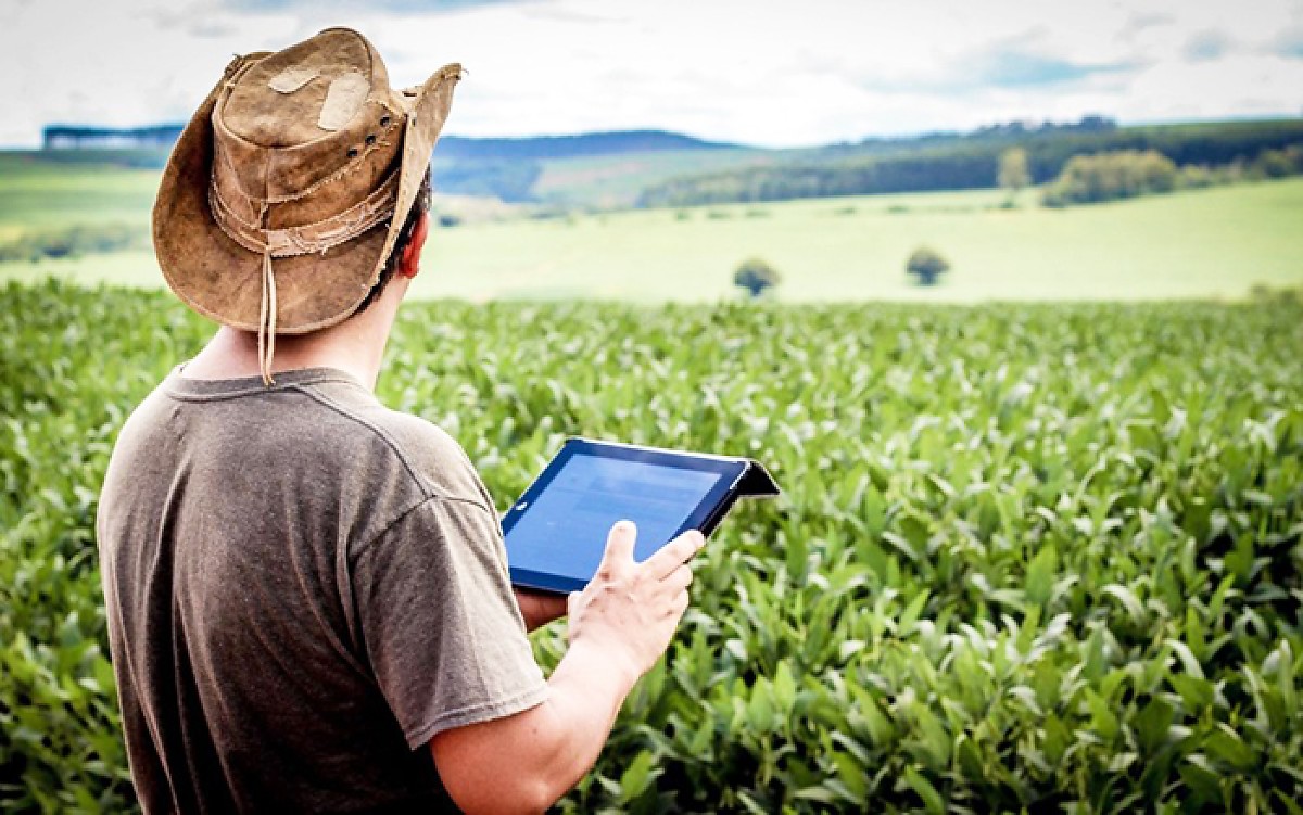 Jovem produtor qualificado no Mato Grosso, mostrando sua atividade agrícola.