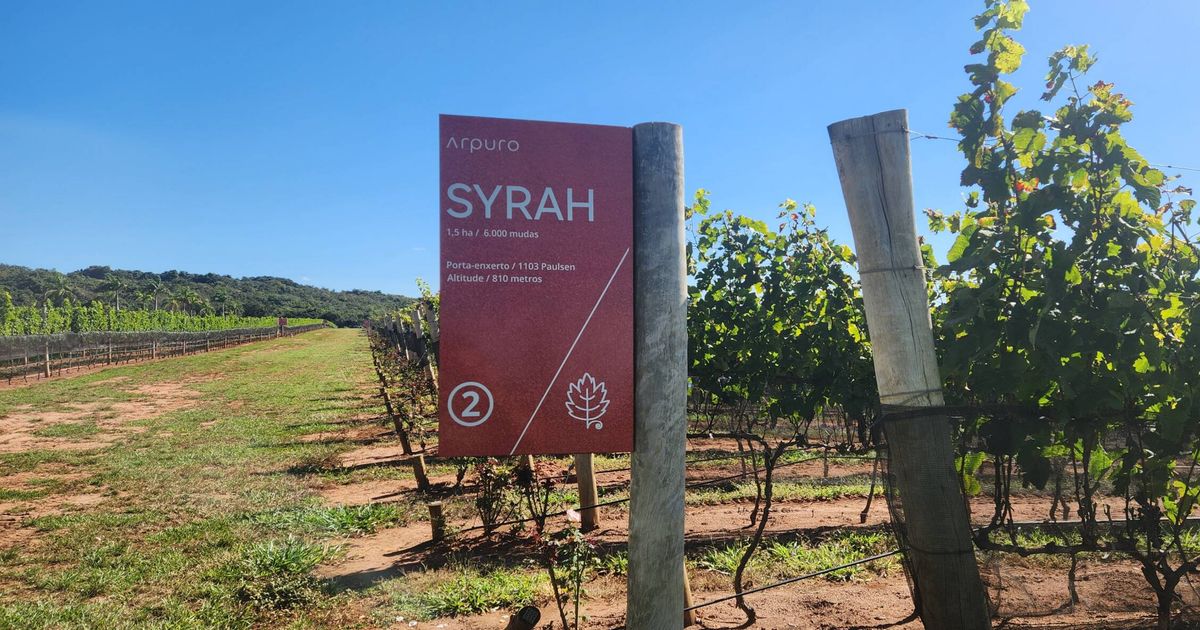 Entre vinhos e cervejas, Uberaba (MG) oferece novas experiências ao visitante