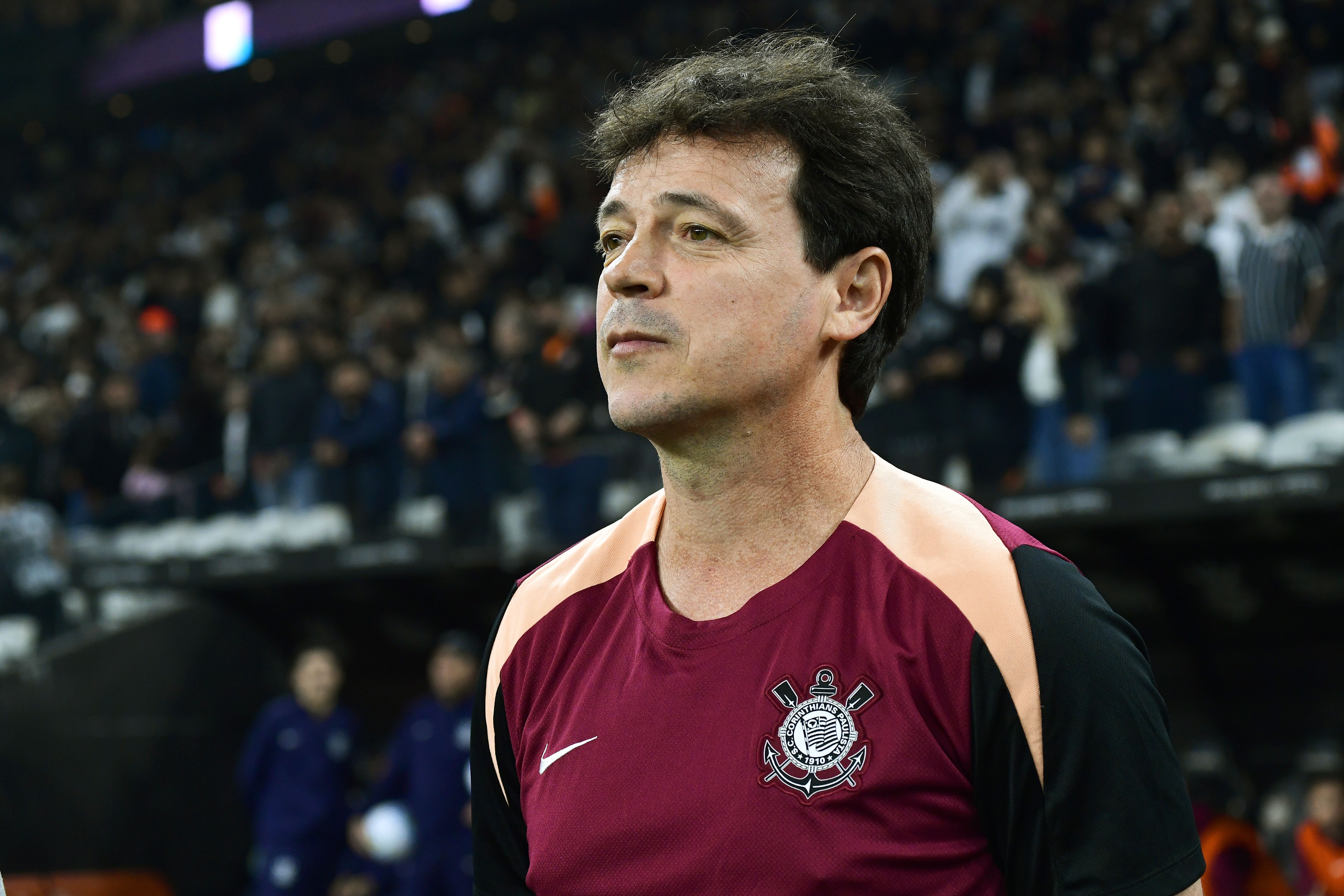 Diniz elogia Corinthians e minimiza efeito de pausa: 