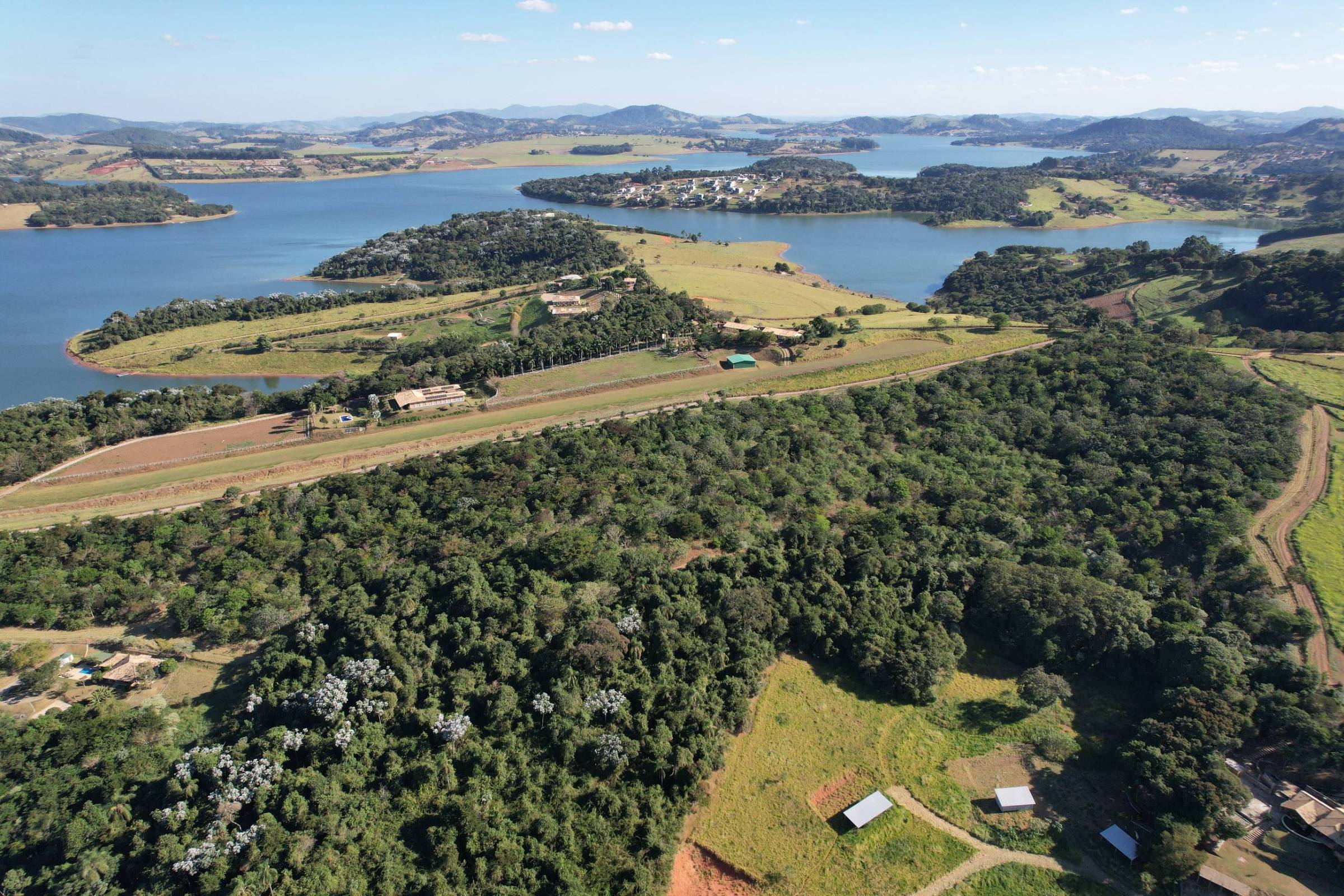 SOS Mata Atlântica chega aos 40 anos com 44 milhões de árvores plantadas