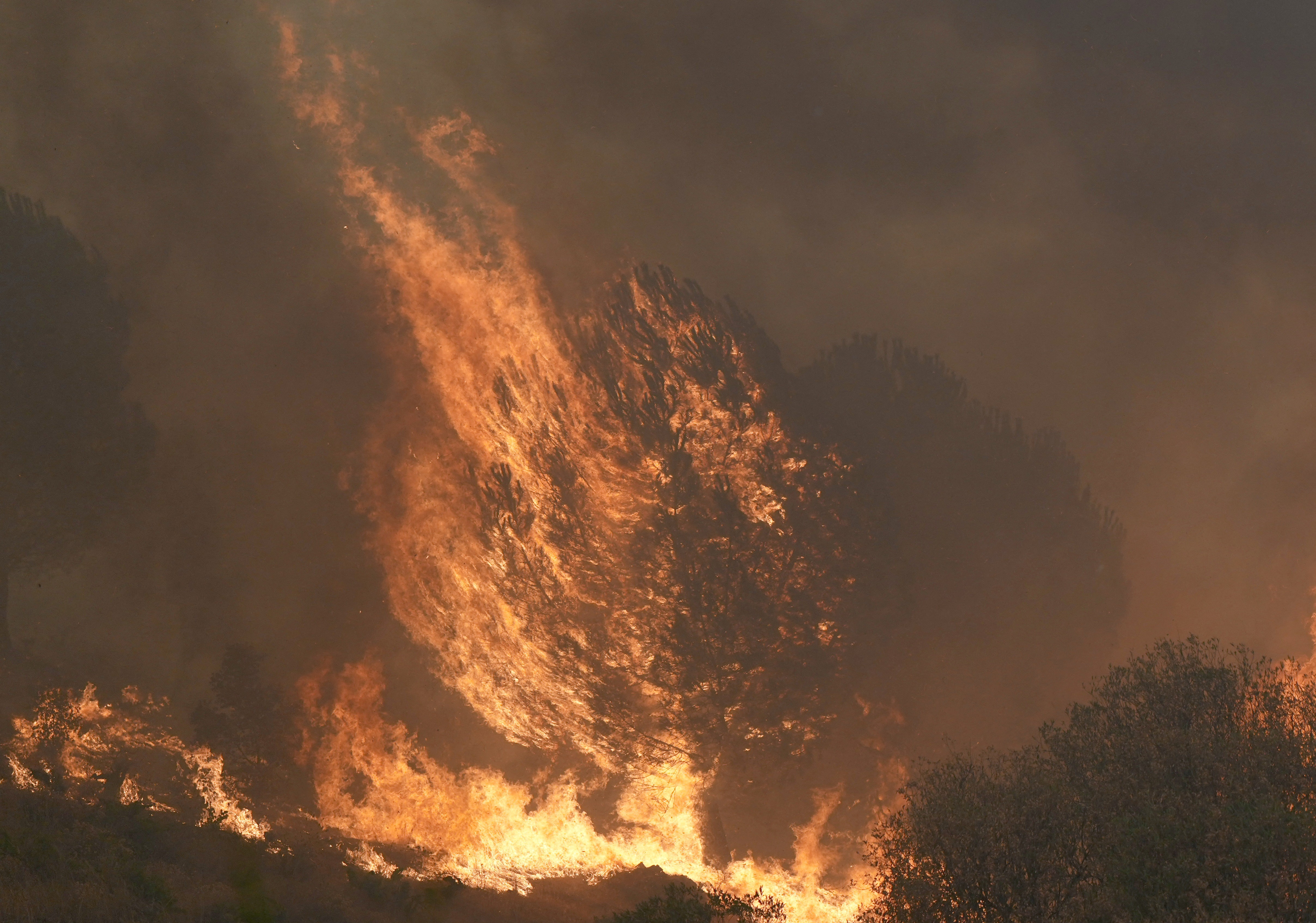 Incêndios florestais castigam a Europa; veja VÍDEO