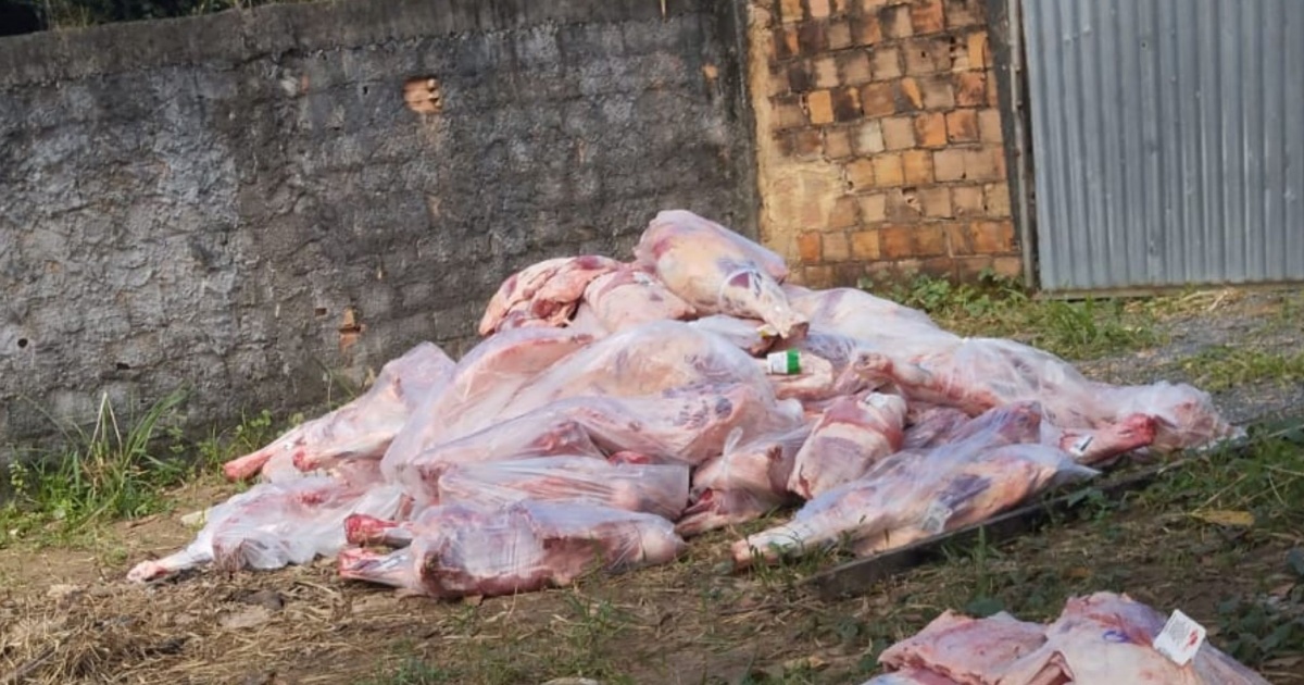 Operação recupera carga com mais de quatro toneladas de carne roubada e resgata funcionários em Salvador