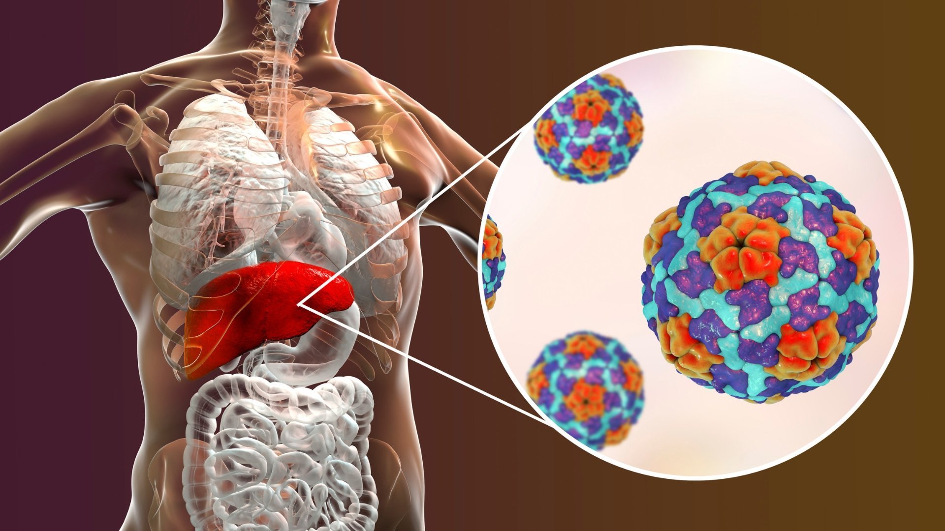 Hepatites virais: saiba tudo sobre prevenção, vacinação e diagnóstico