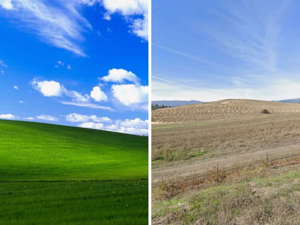 Colina de foto clássica do Windows XP aparece irreconhecível