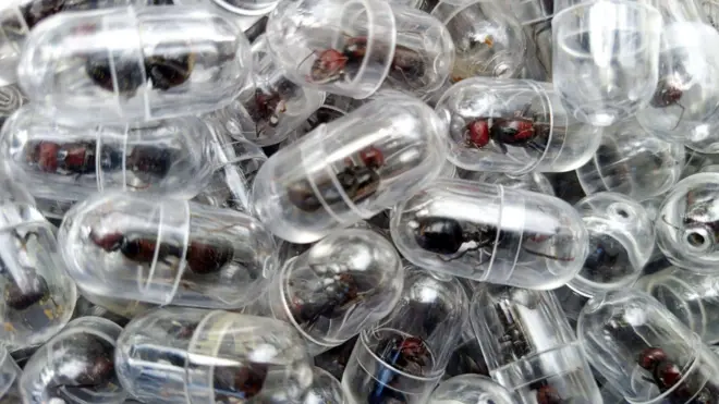 Imigrantes na Alemanha: busca por profissionais qualificados impulsiona a economia local.