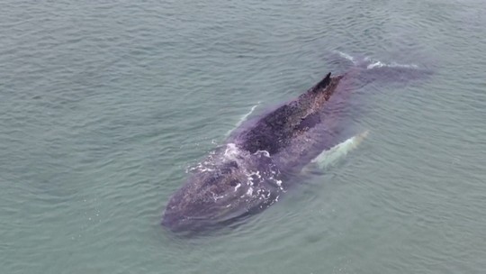BRB convoca assembleia para aprovar aumento de capital e cobrir perdas com o Mastercard.