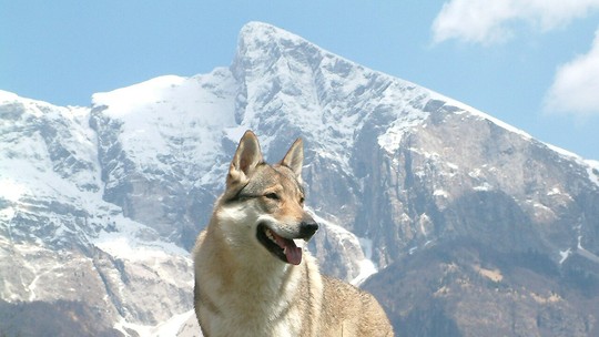 Textor anuncia aporte no Botafogo, mas proposta gera incertezas jurídicas no clube.