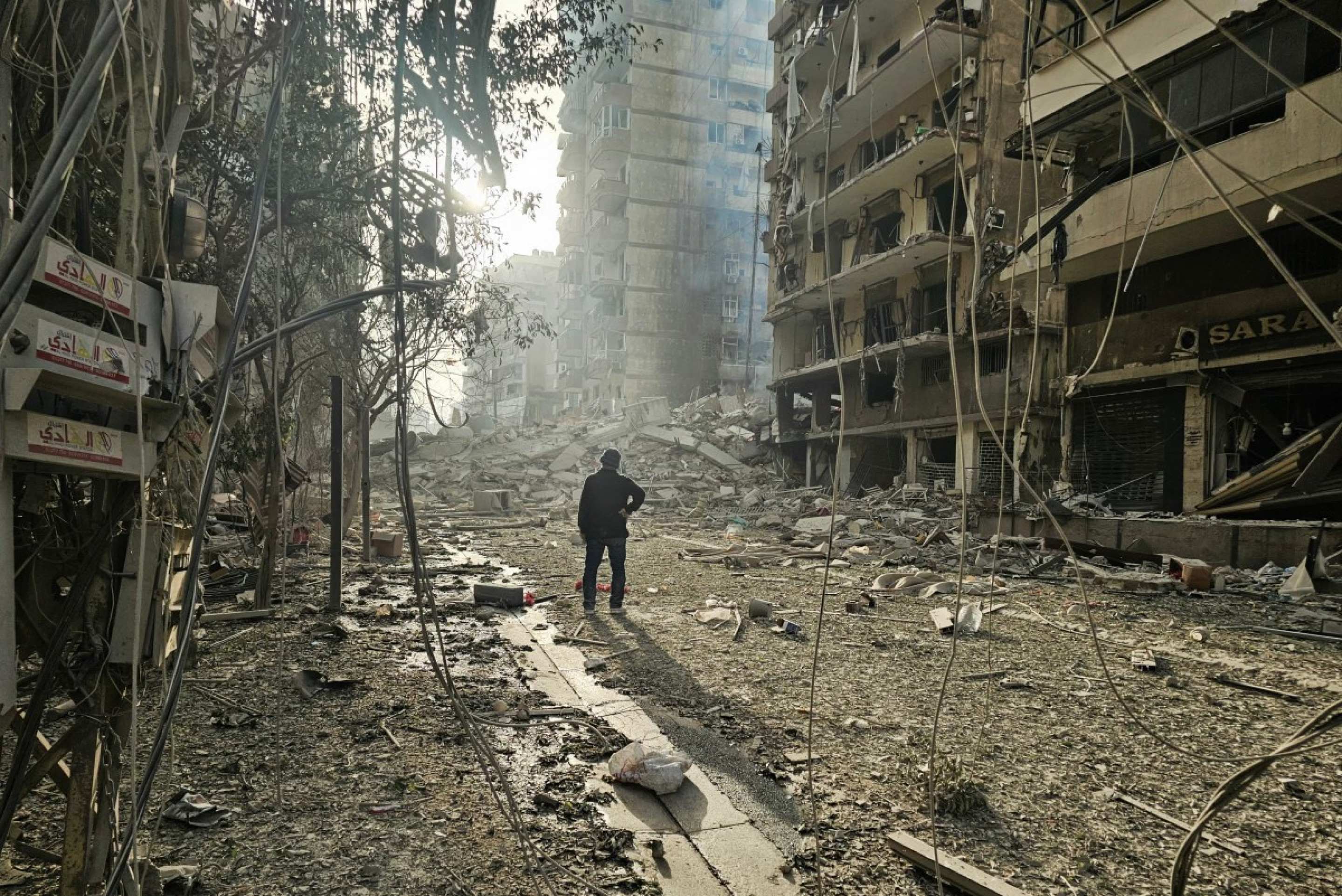 Trabalhadores sentados em uma sala de reunião com folhas de árvores ao fundo, simbolizando a importância da saúde mental no trabalho.