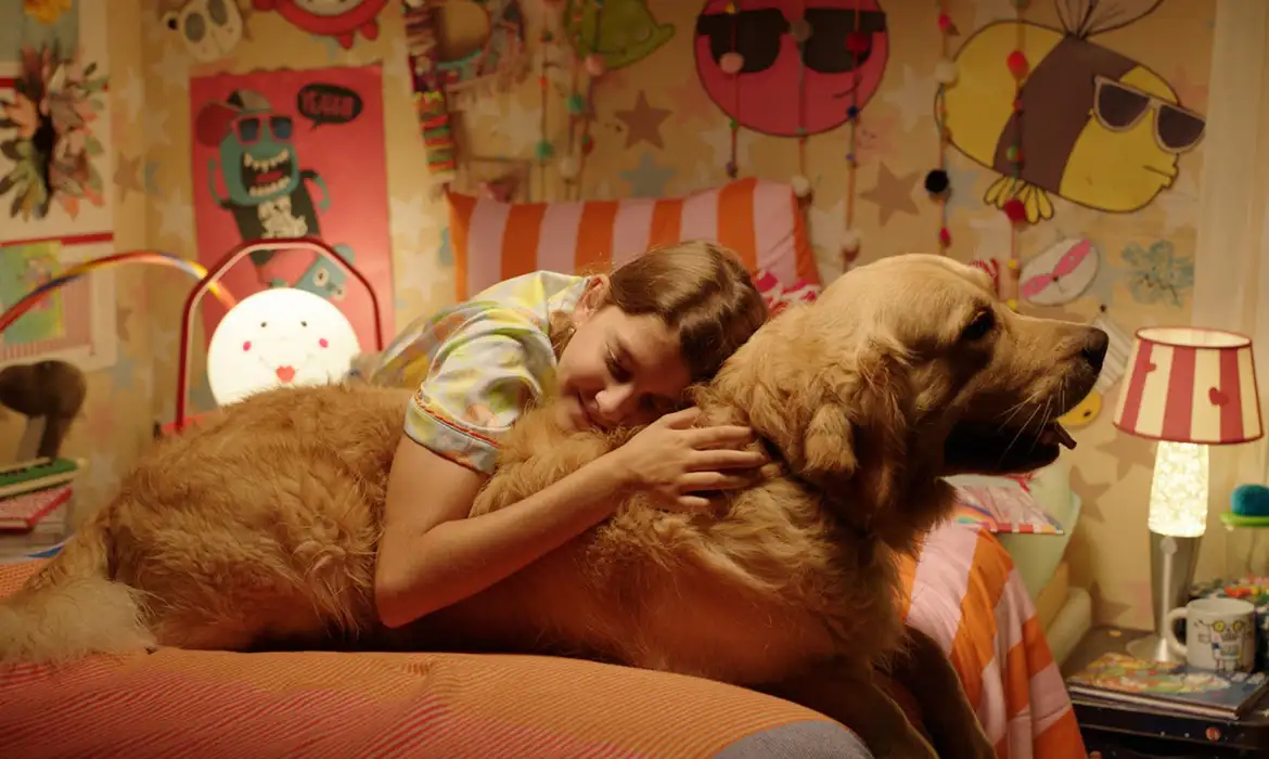 Público aguarda ansiosamente a abertura do Festival de cinema BIFF 2026.