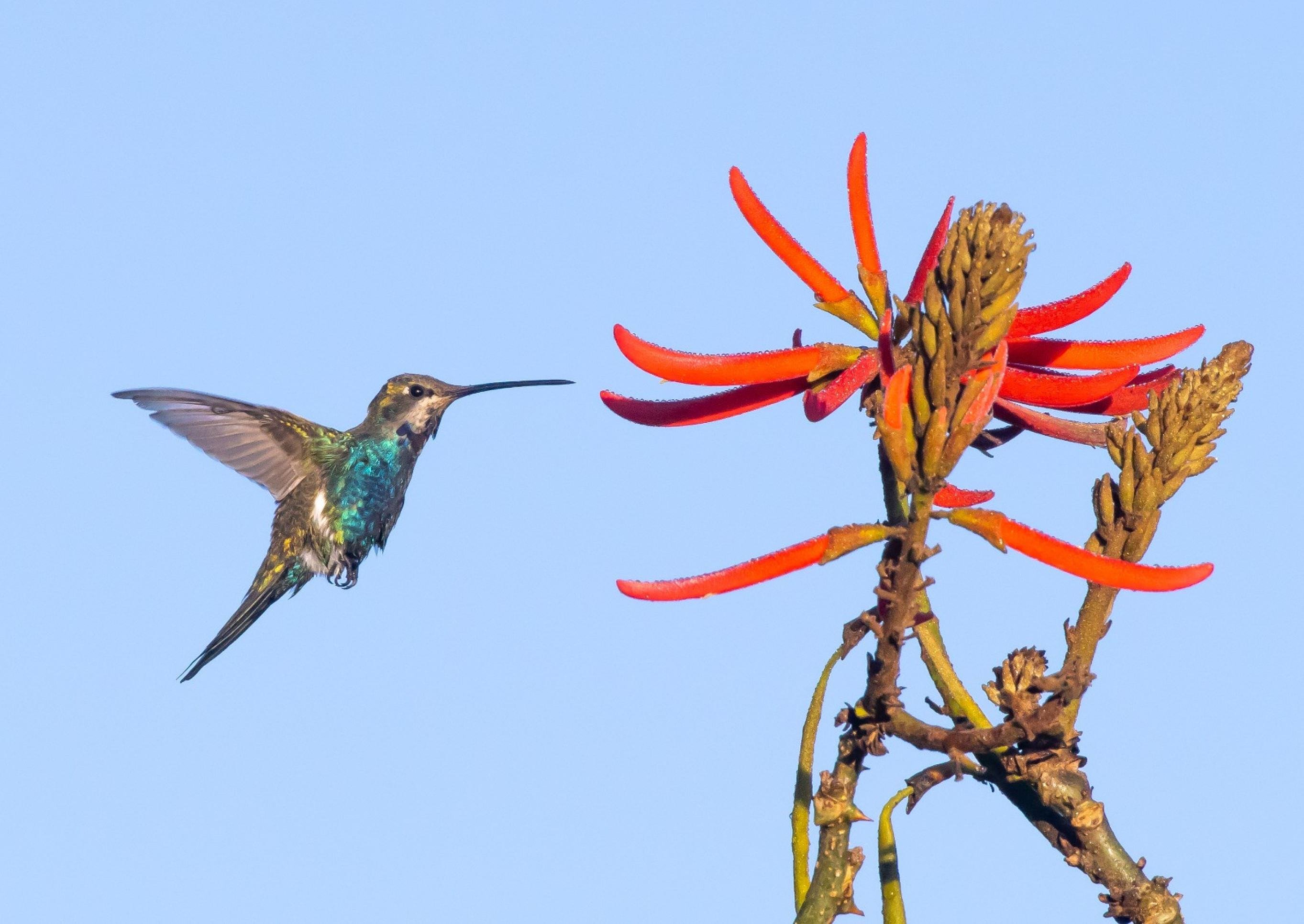 Neurocientistas apresentam projeto de realidade virtual no CCBB.